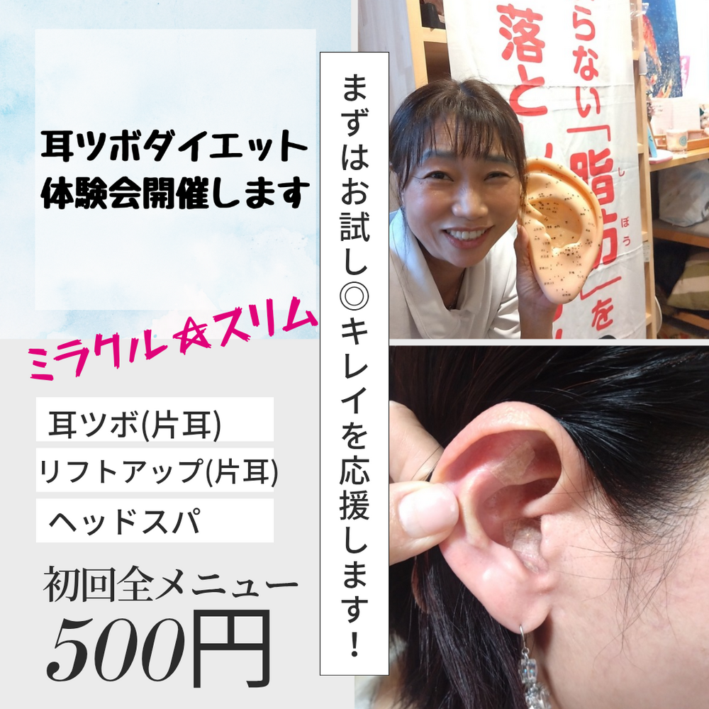 画像11584