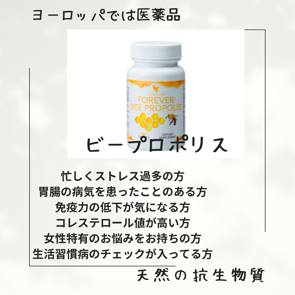 画像15796
