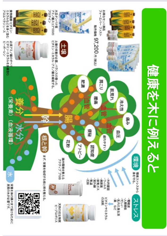 画像18646
