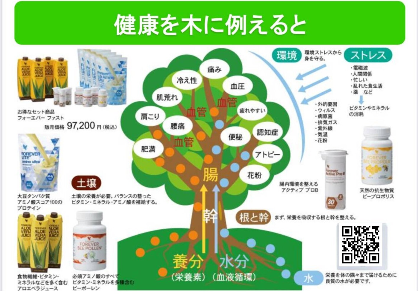 画像22502