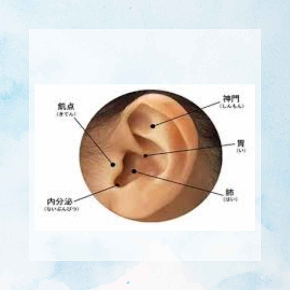 画像22574
